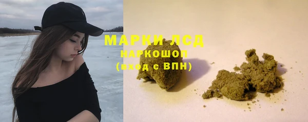 прущие крисы Аркадак