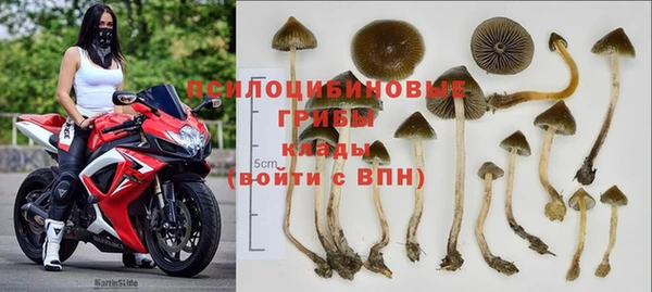 бутират Алзамай