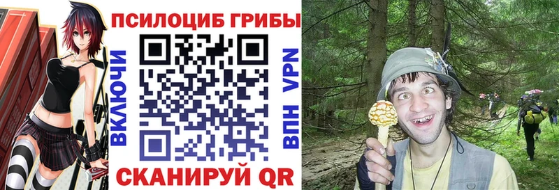 Галлюциногенные грибы MAGIC MUSHROOMS  Купить закладки  Рыльск 